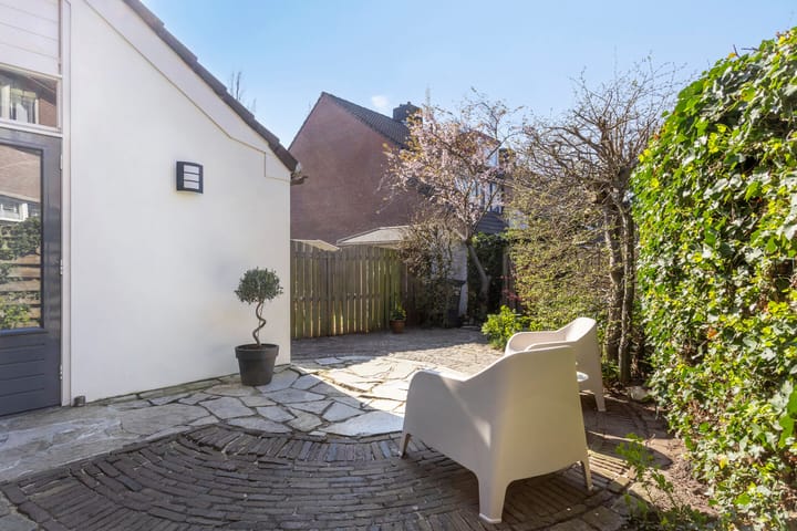 Foto 11 van Chrysant 22