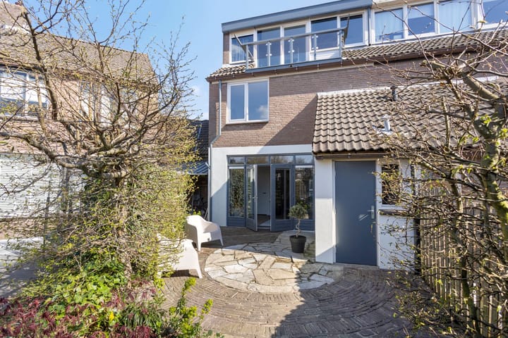 Foto 12 van Chrysant 22