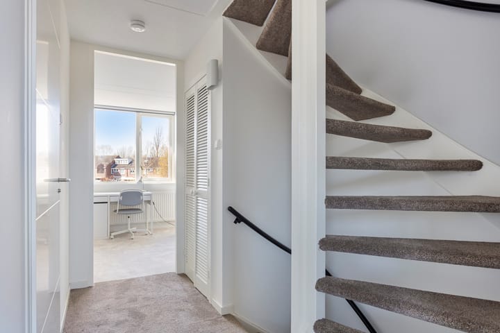 Foto 17 van Chrysant 22