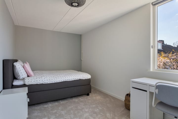 Foto 18 van Chrysant 22