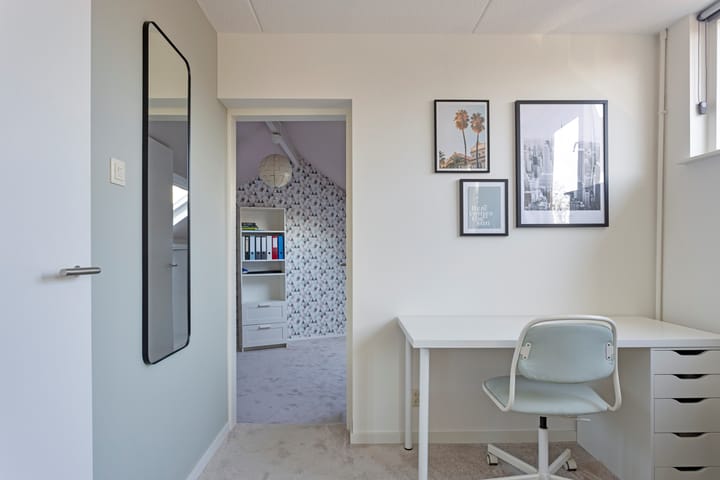 Foto 22 van Chrysant 22