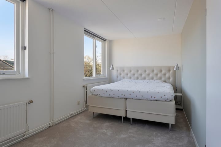 Foto 23 van Chrysant 22