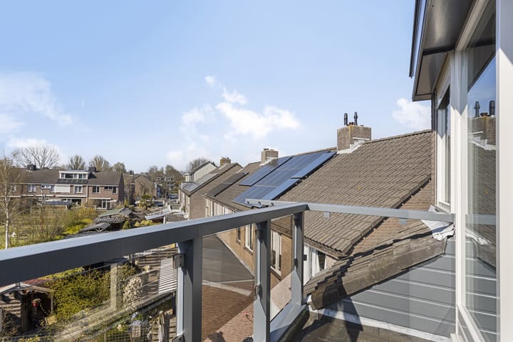 Foto 29 van Chrysant 22