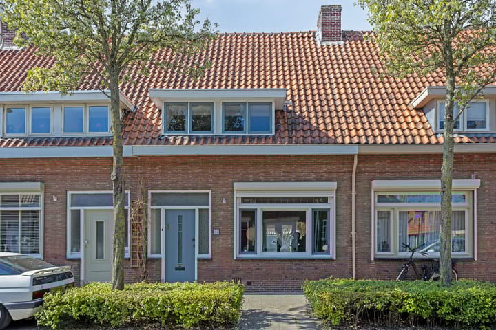 undefined main image