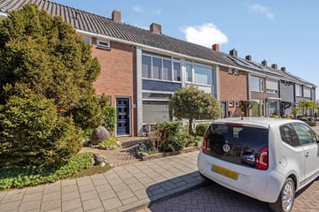 Markkant thumbnail