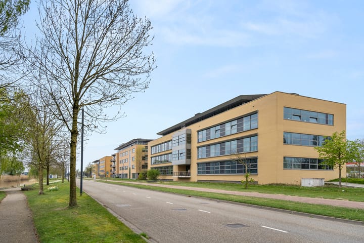 Meander 651