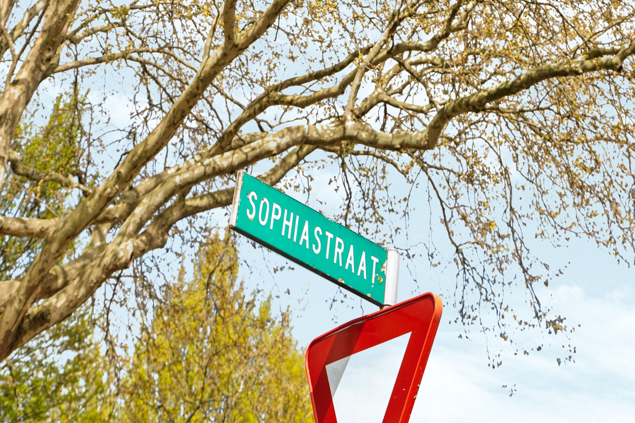Foto 36 van Sophiastraat 40