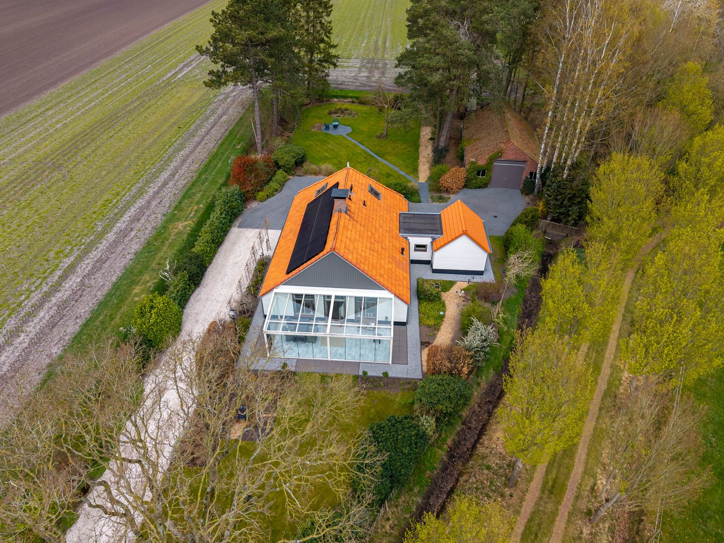 Foto 4 van Borgerweg 38