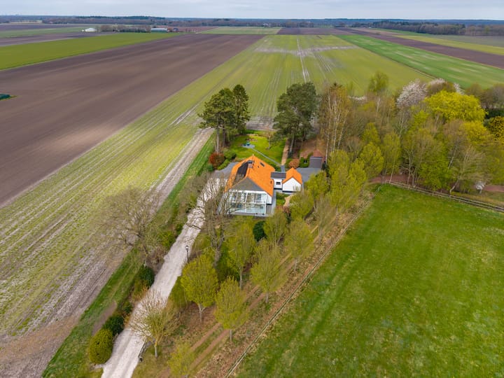 Photo 2 of Borgerweg 38