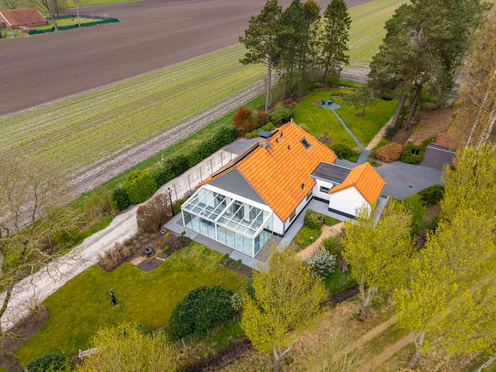 Photo 6 of Borgerweg 38