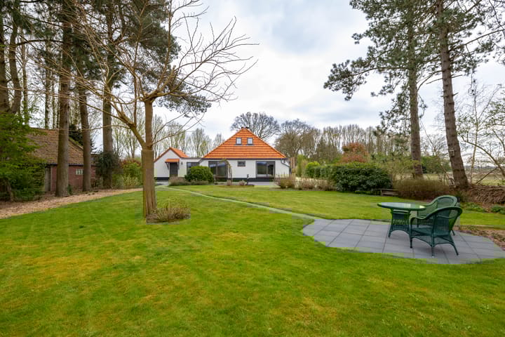 Photo 8 of Borgerweg 38