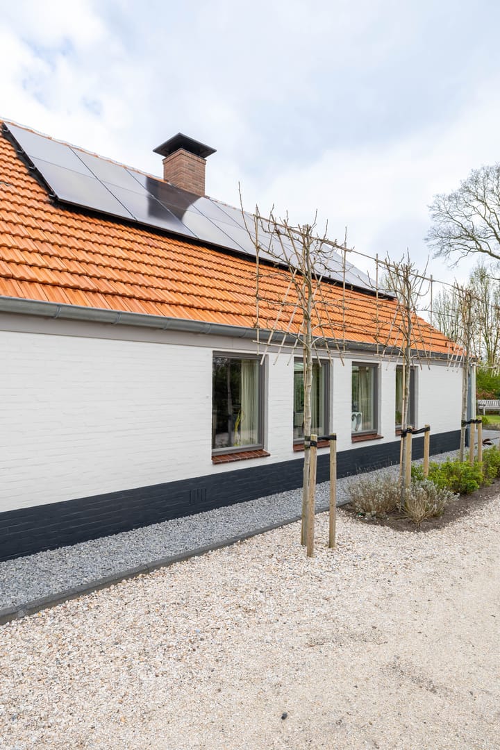 Photo 12 of Borgerweg 38