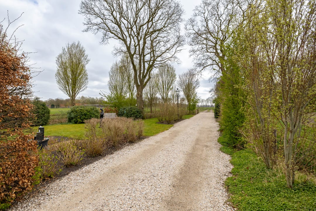 Foto 13 van Borgerweg 38