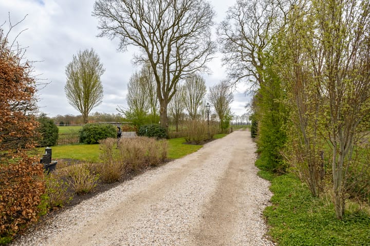 Photo 13 of Borgerweg 38