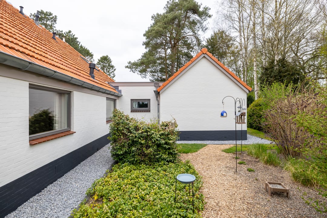 Foto 16 van Borgerweg 38