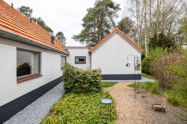 Photo 16 of Borgerweg 38