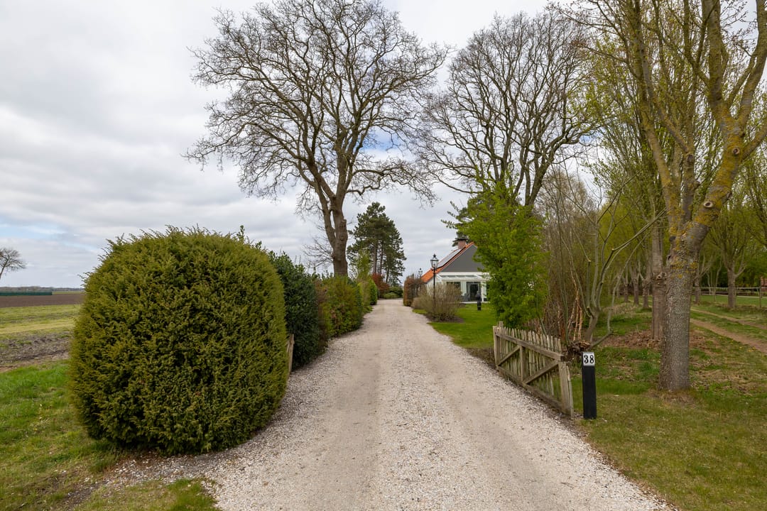 Foto 47 van Borgerweg 38