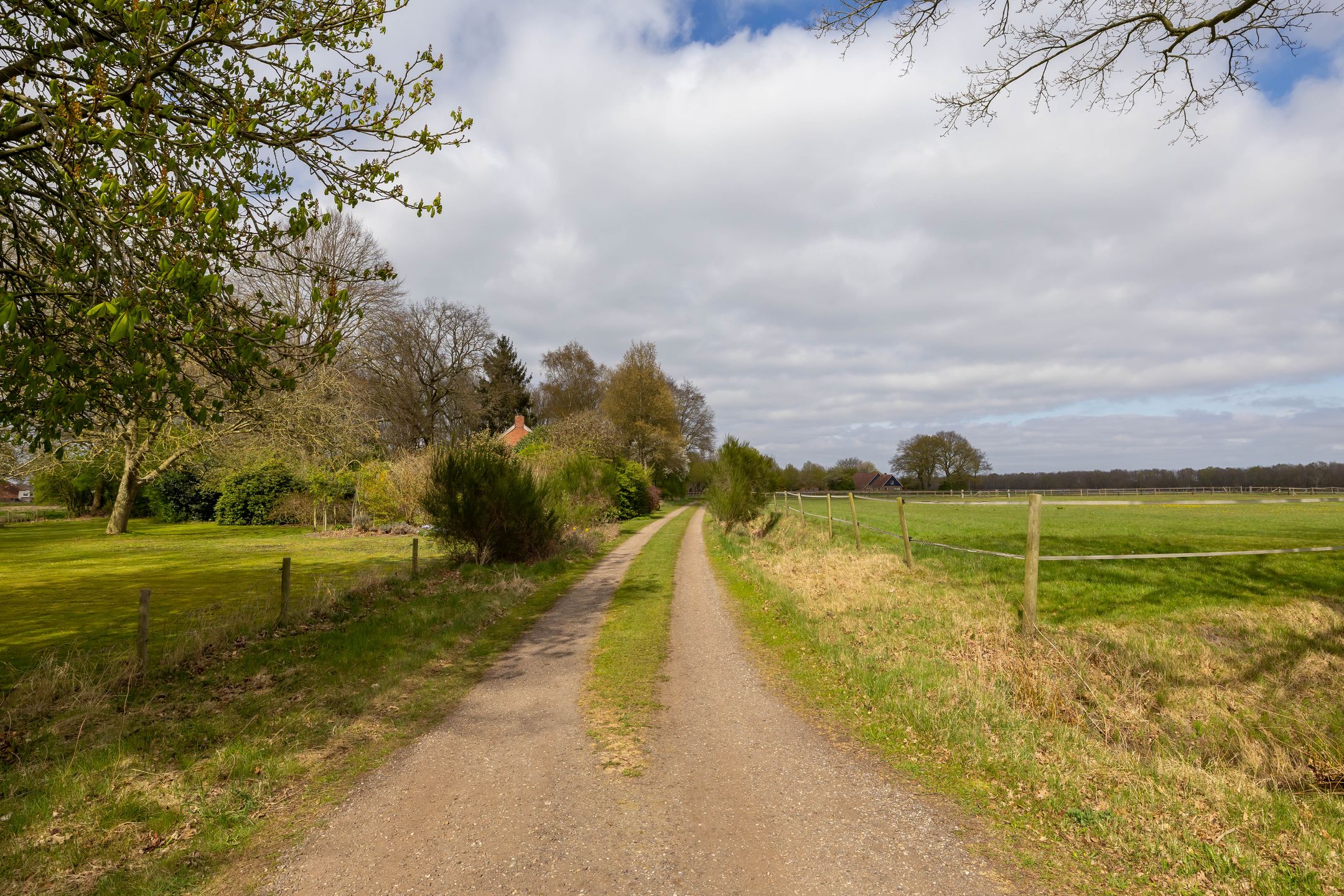 Foto 48 van Borgerweg 38