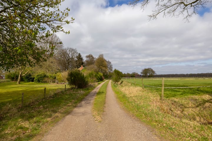 Photo 48 of Borgerweg 38