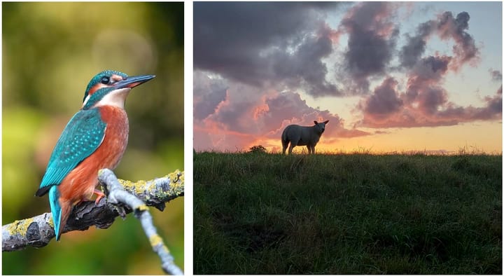 Foto 70 van Slaperdijkweg 78