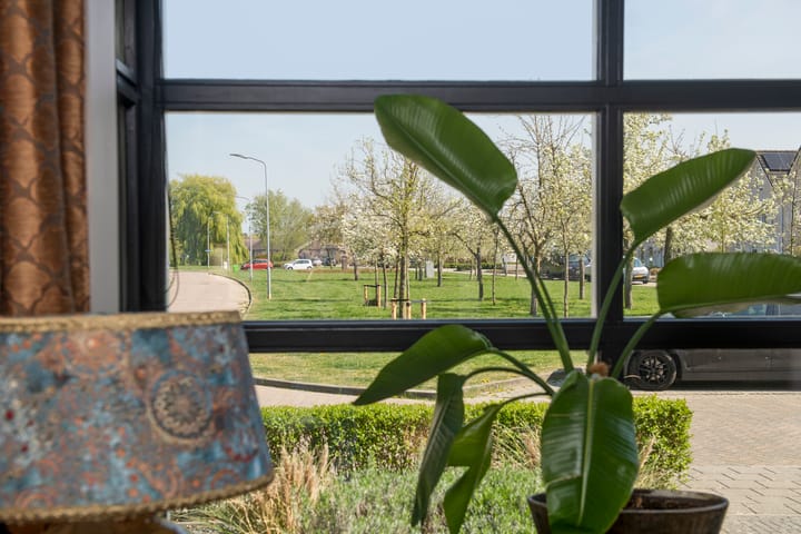 Photo 7 of De Handboog 18