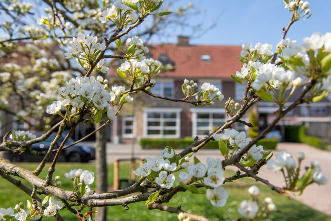 Foto 38 van De Handboog 18