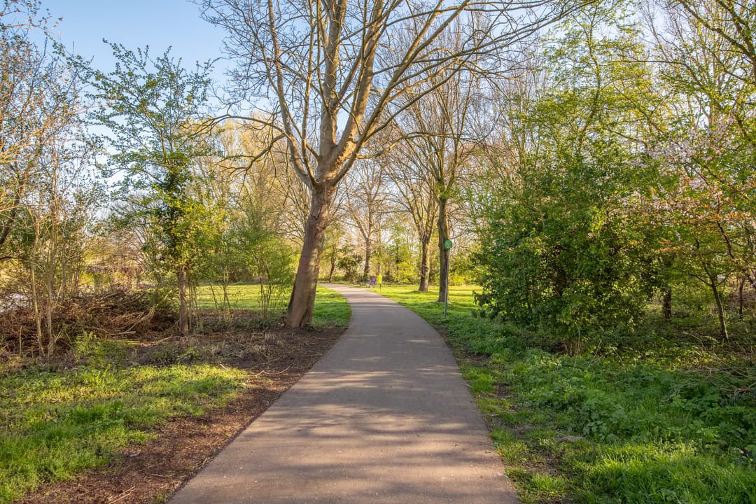 Photo 53 of Berckheidelaan 3