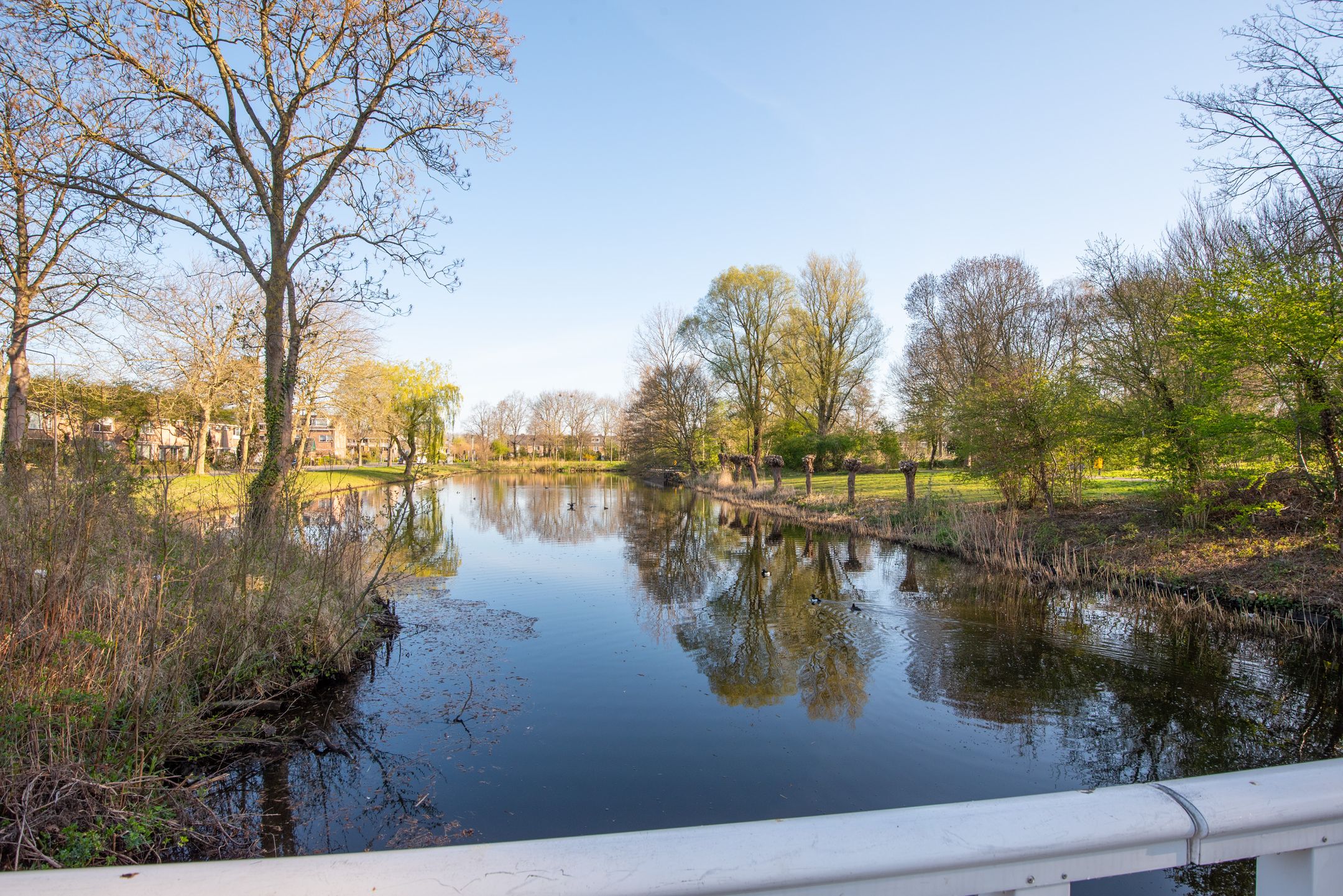 Photo 54 of Berckheidelaan 3