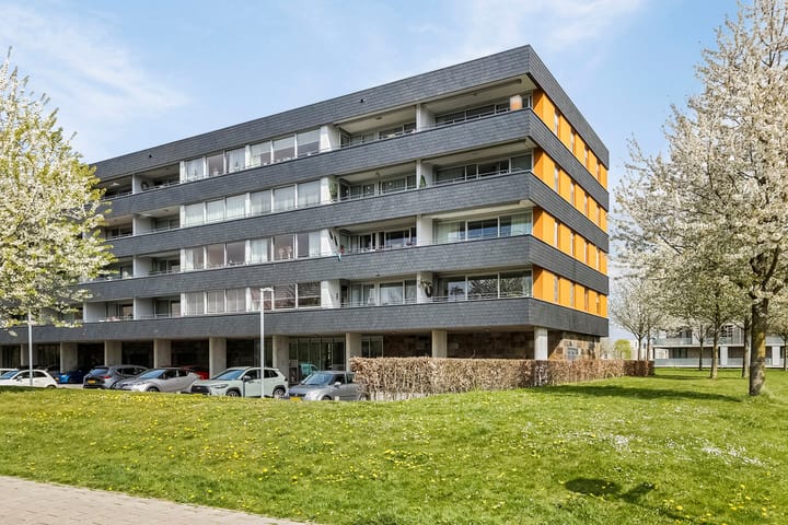 Foto 1 van Grootzeil 288