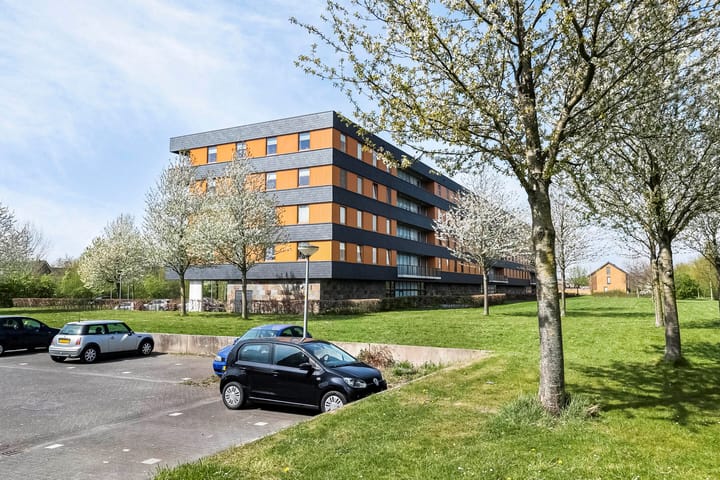 Foto 4 van Grootzeil 288