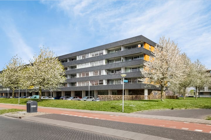 Photo 5 of Grootzeil 288