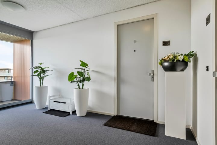 Foto 13 van Grootzeil 288