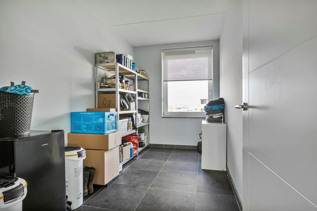 Foto 47 van Grootzeil 288