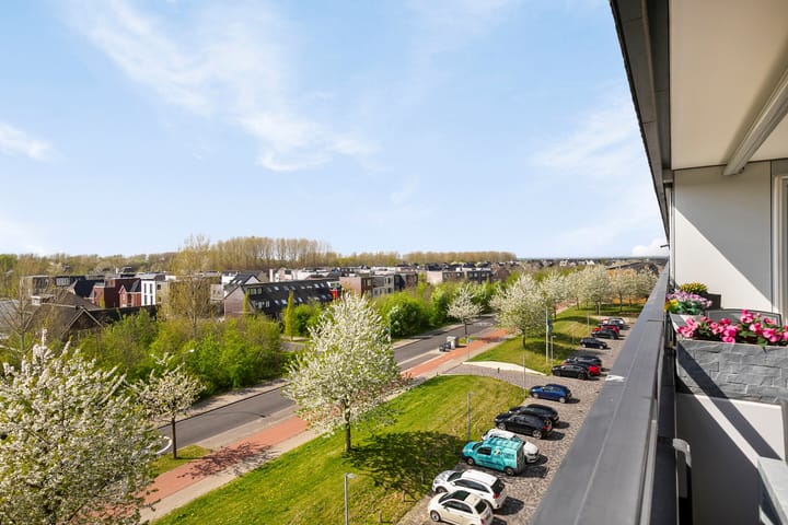 Foto 48 van Grootzeil 288