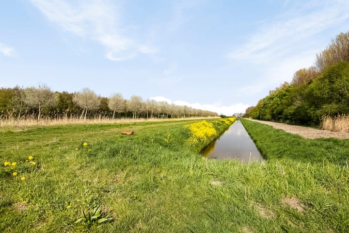 Foto 53 van Grootzeil 288