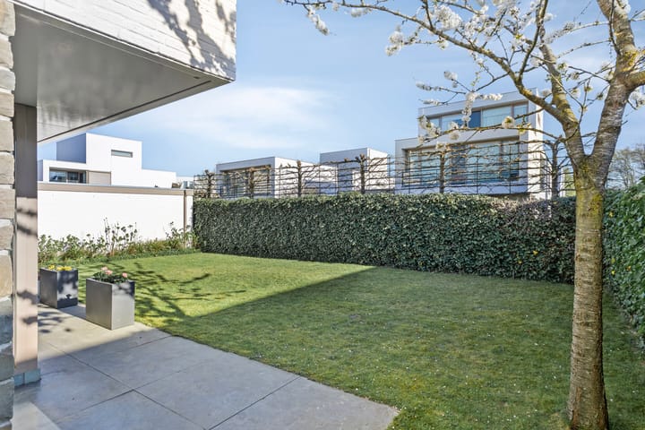 Photo 32 of Zandgroeve 10