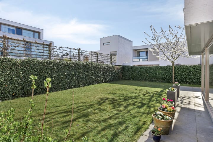 Photo 33 of Zandgroeve 10