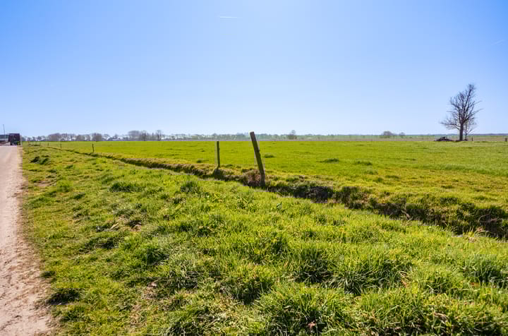 Foto 36 van Hoogeboomstraat 5