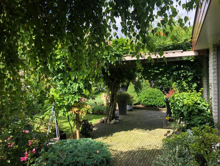 Foto 46 van Heeghstraat 48