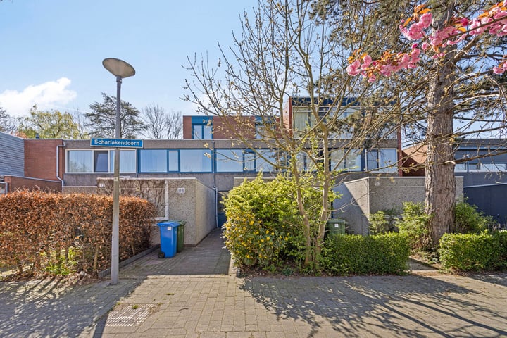 Scharlakendoorn 34