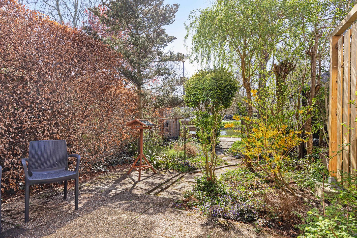 Foto 20 van Scharlakendoorn 34