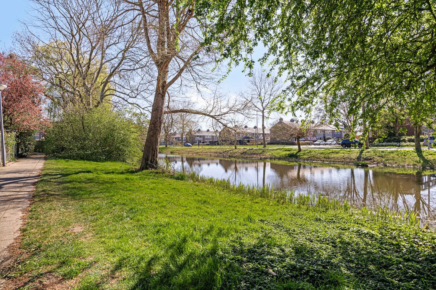 Foto 34 van Scharlakendoorn 34