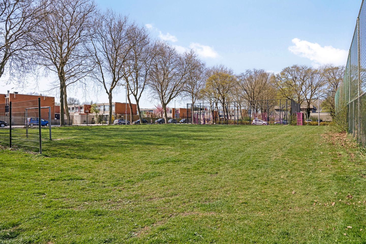 Foto 35 van Scharlakendoorn 34