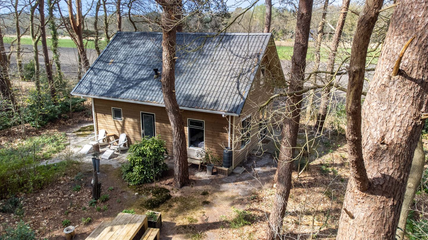 Foto 10 van Apollolaan 4