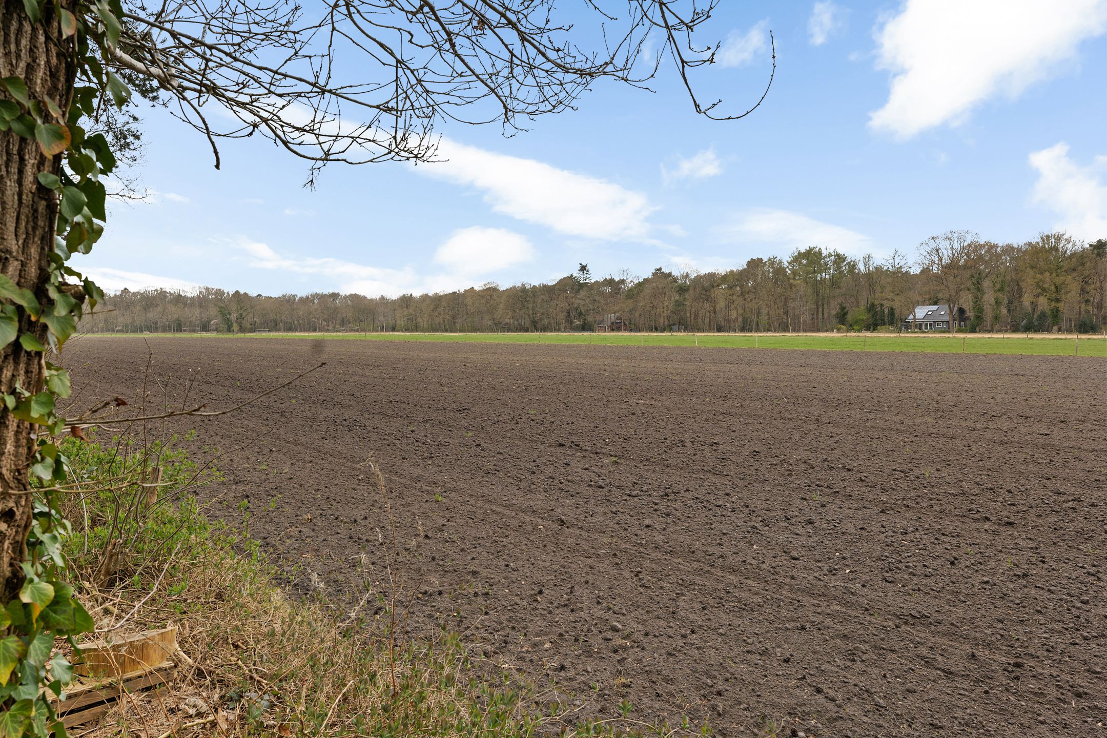 Foto 42 van Apollolaan 4