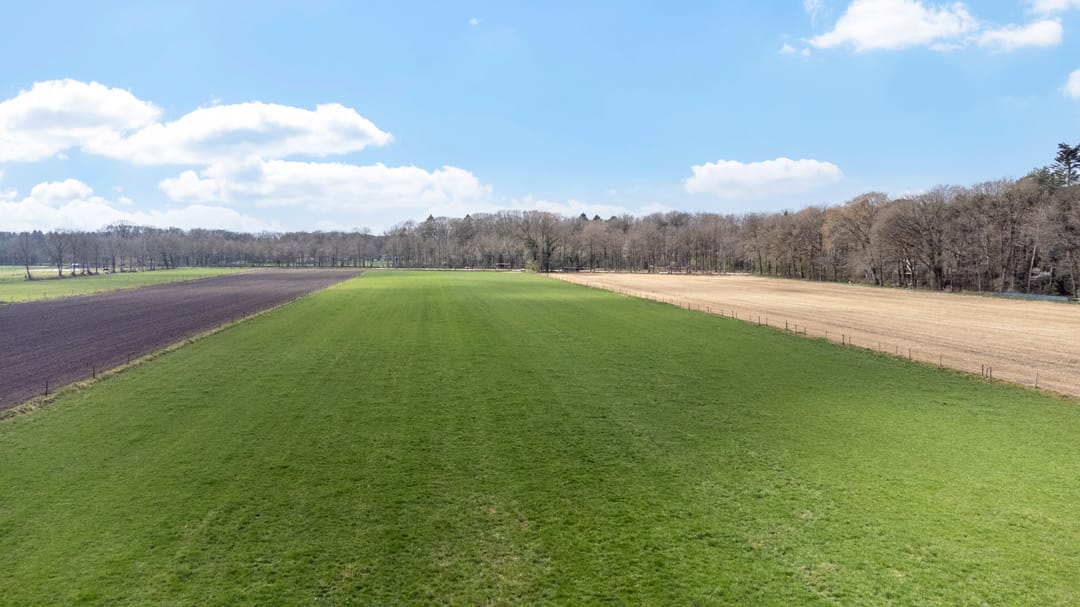 Foto 43 van Apollolaan 4