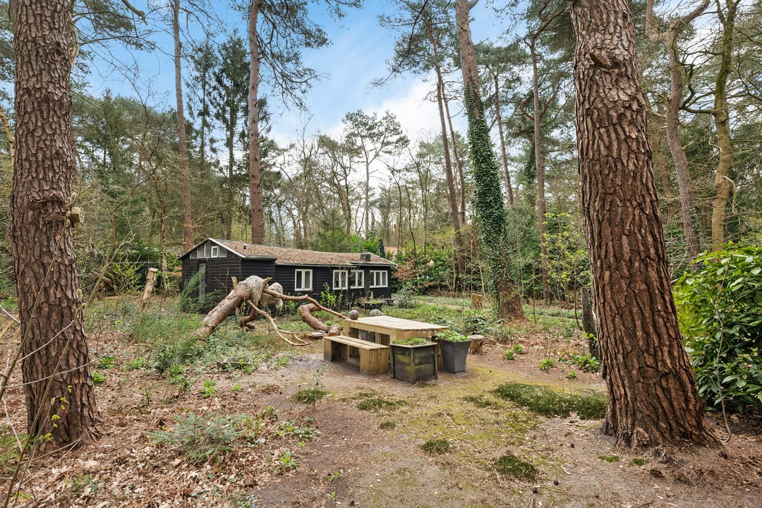 Foto 46 van Apollolaan 4