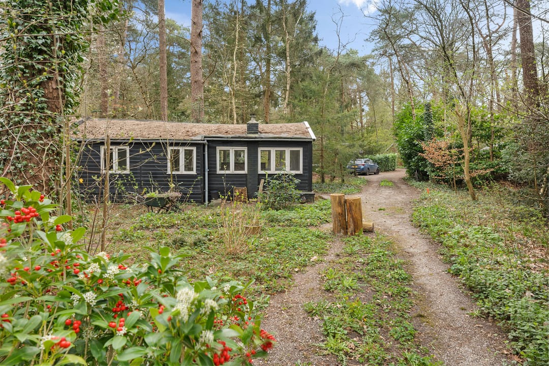 Foto 47 van Apollolaan 4