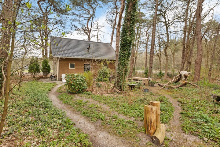 Foto 4 van Apollolaan 4