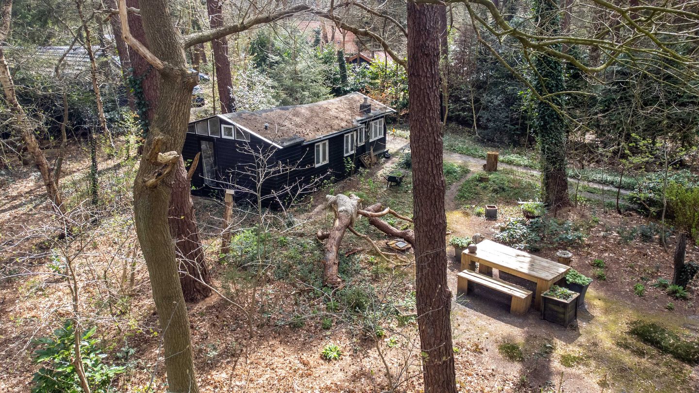 Foto 55 van Apollolaan 4